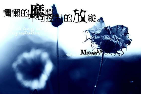 Ů˸⾳ͼƬ