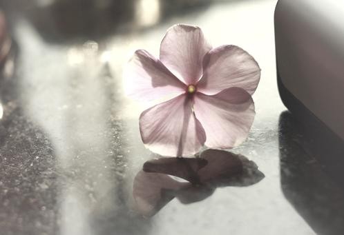 2013·ΨͼƬ