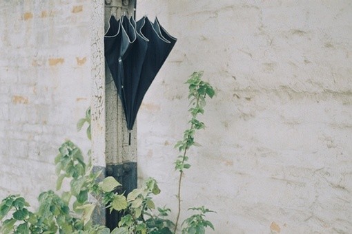 2013·ΨͼƬ