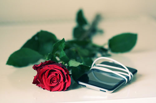 90ֻ߲ϵͼƬ