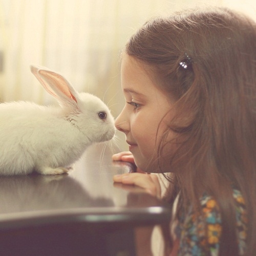 ȱ˵ıͼƬ