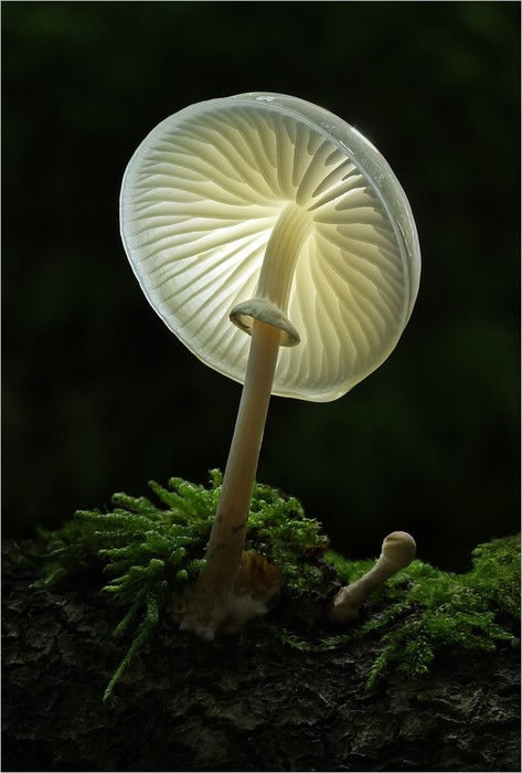 ˴۽ĸĢͼƬ