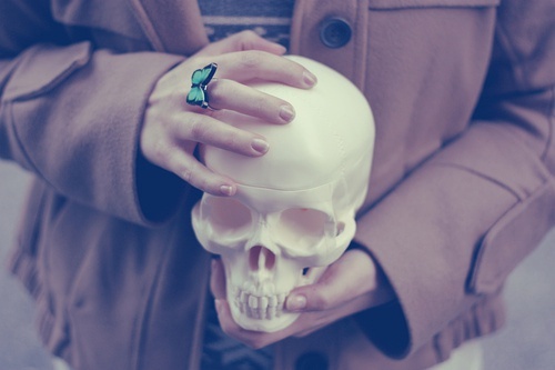 Ѿ絭ָϵͼƬ