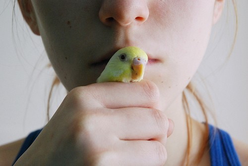 ϵиͼƬ