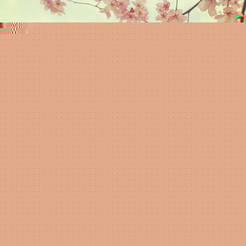 ֮ͼƬ󼯺