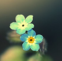 һ仨һݰһ