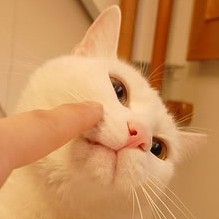 ɰƯèȹͼƬ