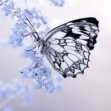ƯĺƯ