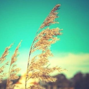 죬յļ