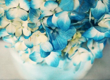 һݻ