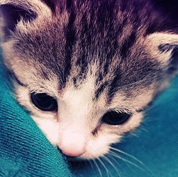 èˣҵ