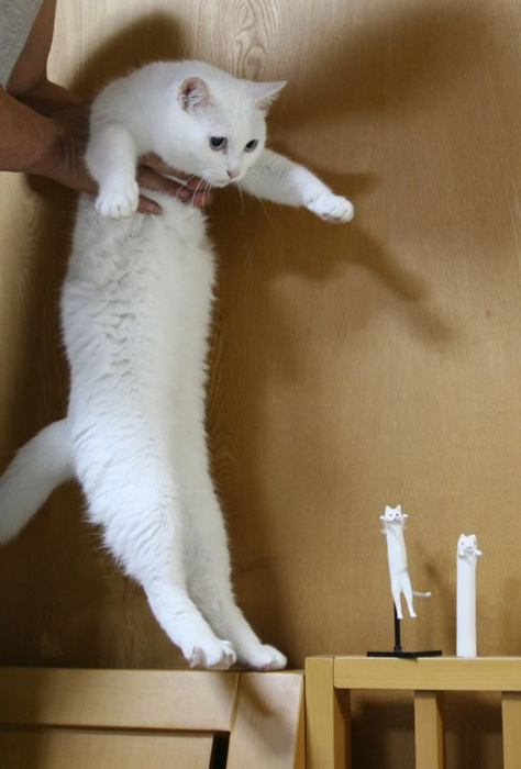 ɰСЦͼƬ ̫